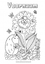Gratis tekening Bloemen Egel Zomer Vlinder Dier Zonnebloem Insecten Bosdieren