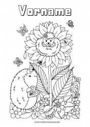Kostenlose Zeichnung Blumen Igel Sommer Schmetterling Tier Sonnenblume Insekten Waldtiere