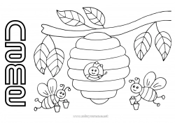 Free coloring Summer Spring Animal Bee Insects Beehive