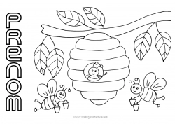 Coloriage gratuit Été Printemps Animal Abeille Insectes Ruche