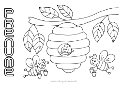 Pagină de colorat personalizată Vara Primăvară Animal Albină Insecte Răchită