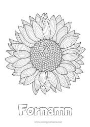 Gratis färgläggning Blommor Sommar Solros