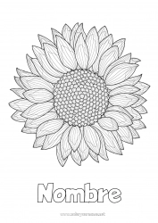 Colorear gratis Flores Verano Girasol