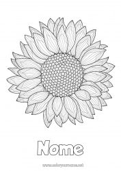 Disegno gratuito Fiori Estate Girasole