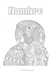 Colorear gratis Mandala Animales Loro Dibujos complejos para colorear Aves y mamíferos voladores