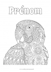 Coloriage à personnaliser Mandala Perroquet Coloriages complexes Oiseaux et mammifères volants