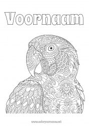 Gratis kleurplaat Mandala Dier Papegaai Complex Kleurplaten Vogels en vliegende zoogdieren