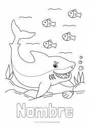 Dibujo libre Mar Animales Pescado Dibujos intermedios para colorear Tiburón Animales marinos o acuáticos