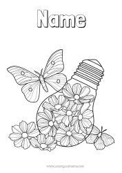 Free drawing Flowers Calm and zen Summer Butterfly Insects Antistress Bulb