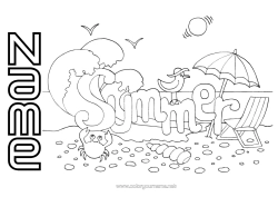 Free colouring Bird Summer Beach Sea Animal Crab Marine or aquatic animals Birds and flying mammals