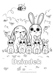 Kolorowanka za darmo Słodki Zając Dziecko Zwierzę Zwierzęta leśne Dorosły Rodzina