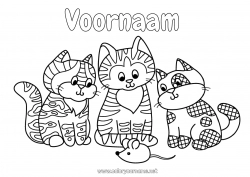 Gratis tekening Kat Muis Dier Intermediaire kleurplaten Honden en katten Bosdieren