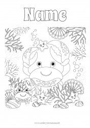 Free coloring Sea Animal Crab Sea Shell Intermediate coloring pages Starfish Marine or aquatic animals
