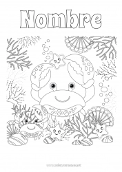 Colorear gratis Mar Animales Cangrejo Conchas marinas Dibujos intermedios para colorear Estrella de mar Animales marinos o acuáticos