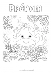 Coloriage gratuit Mer Crabe Coquillages Coloriages intermédiaires Étoile de mer Animaux marins ou aquatique