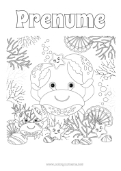 Pagină de colorat gratuită Mare Animal Crab Scoici Colorează intermediare Stea de mare Animale marine sau acvatice