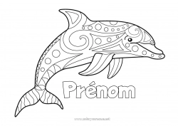 Coloriage à personnaliser Mandala Dauphin Coloriages faciles Animaux marins ou aquatique