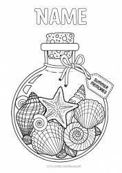 Coloring to customize Holidays Summer Sea Shell Marine or aquatic animals Bottle