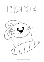 Free colouring Sport Rabbit Animal Easy colouring pages Surfing Forest animals Water sports