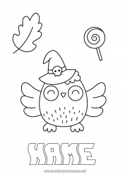 Free coloring Sweets Halloween Owl Treats Flying birds and mammals Lollipop