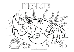 Free colouring Sea Animal Crab Marine or aquatic animals