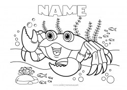 Free coloring Sea Animal Crab Marine or aquatic animals