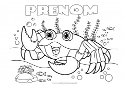 Coloriage gratuit Mer Animal Crabe Animaux marins ou aquatique