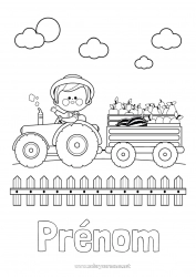 Coloriage gratuit Tracteur Véhicules de la ferme Ferme Fruits Fermier Métiers de la ferme