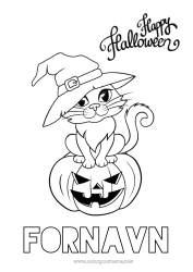 Gratis tegning Gresskar Heks Svart katt Halloween Jack O'Lantern Hunder og katter Påmelding 