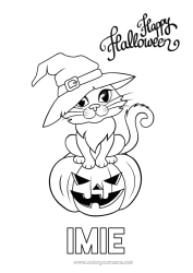 Kolorowanka za darmo Dynia Czarownica Czarny kot Halloween Jack O'Lantern Psy i koty Napis 'halloween'
