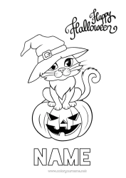 Free colouring Pumpkin Witch Black cat Halloween Jack O'Lantern Dogs and cats Halloween sign-up