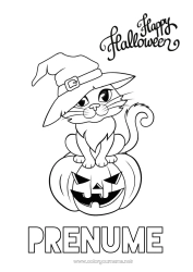 Pagină de colorat gratuită Dovleac Vrăjitoare Pisica neagră Halloween Jack cu lampa Câini și pisici Înscriere 