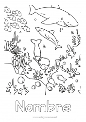 Colorear gratis Chico Mar Animales Pescado Sirena Tiburón Animales marinos o acuáticos