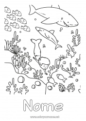 Disegno gratuito Ragazzo Mare Animale Pesce Sirena Squalo Animali marini o acquatici