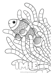 Rysunek za darmo Mandala Morze Zwierzę Ryba Zwierzęta morskie lub wodne