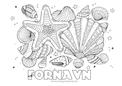 Gratis fargelegging Hav Dyr Snegler Komplekse fargelegginger Marin eller akvatisk dyr