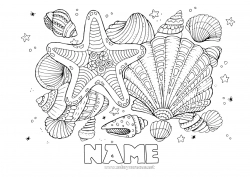 Free coloring Sea Animal Sea Shell Complex coloring pages Marine or aquatic animals