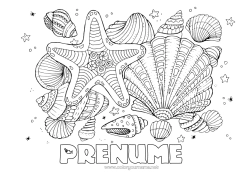 Pagină de colorat gratuită Mare Animal Scoici Desene de colorat complexe Animale marine sau acvatice