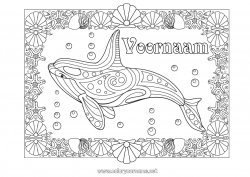 Gratis kleurplaat Mandala Zomer Walvis Dier Complex Kleurplaten Zeedieren Orka