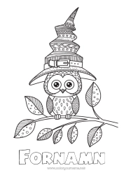 Färgläggningssida att anpassa Häxa Halloween Mandala Uggla, Hök Hatt Fåglar och flygande däggdjur