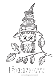 Farvelægningssiden tilpasning Heks Halloween Mandala Ugle, Hornugle Hat Fugle og flyvende pattedyr
