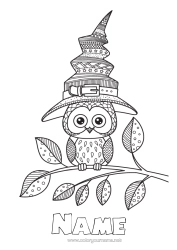 Free colouring Witch Halloween Mandala Owl, Tawny owl Hat Birds and flying mammals