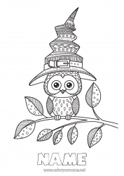 Free drawing Witch Halloween Mandala Owl Hat Flying birds and mammals