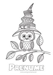 Pagină de colorat personalizată Vrăjitoare Halloween Mandala Bufniță, Uluce. Pălărie Păsări și mamifere zburătoare