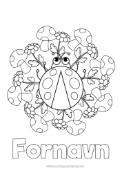 Gratis fargelegging Blomster Mandala Dyr Sopp Marihøne Mellomliggende fargelegginger Insekter
