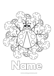 Free colouring Flowers Mandala Animal Mushroom Ladybird Intermediate colouring sheets Insects