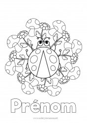 Coloriage gratuit Fleurs Mandala Animal Champignon Coccinelle Coloriages intermédiaires Insectes