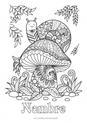 Colorear gratis Mandala Animales Champiñone Caracol