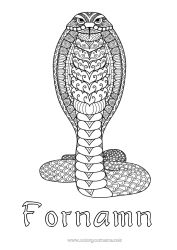 Färgläggningssida att anpassa Mandala Djur Orm Komplexa målarbilder Zentangle Reptiler