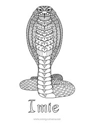 Kolorowanka do personalizacji Mandala Zwierzę Wąż Złożone kolorowanki Zentangle Gady